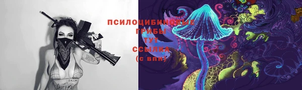 Альфа ПВП Алексеевка