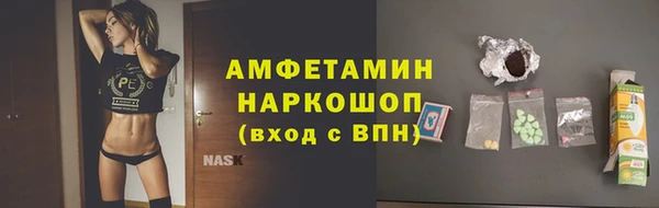 ешки Алексин