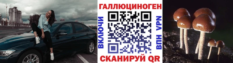 Галлюциногенные грибы прущие грибы  Ликино-Дулёво 